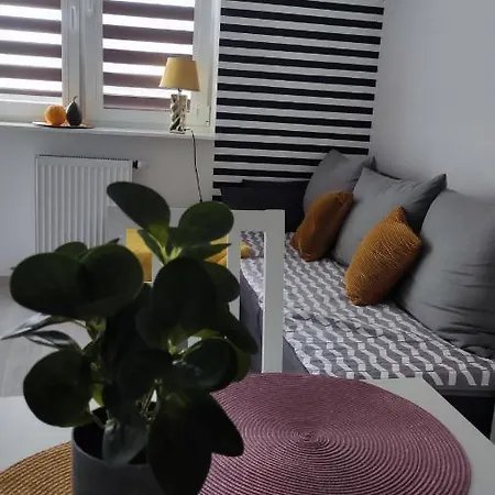 Apartament 60 Płock Exteriér fotografie