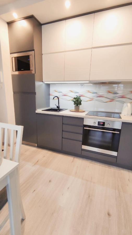 Apartment 60 Plock